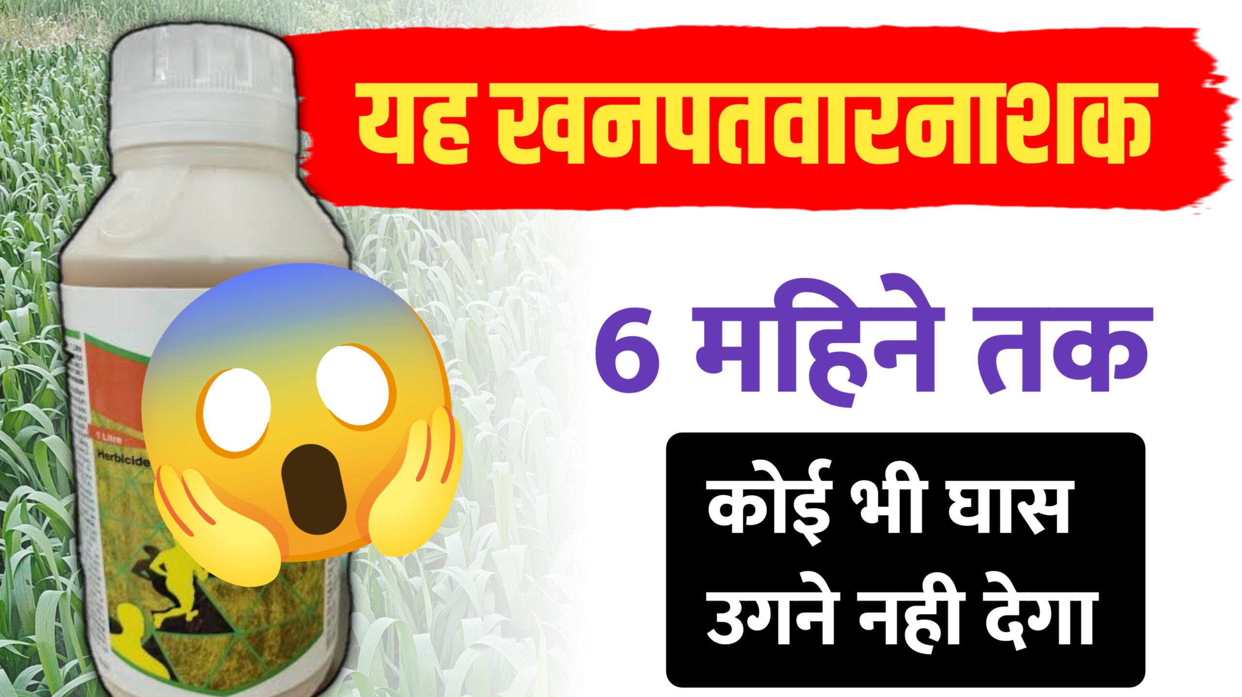 बायर का 'अलियन प्लस'