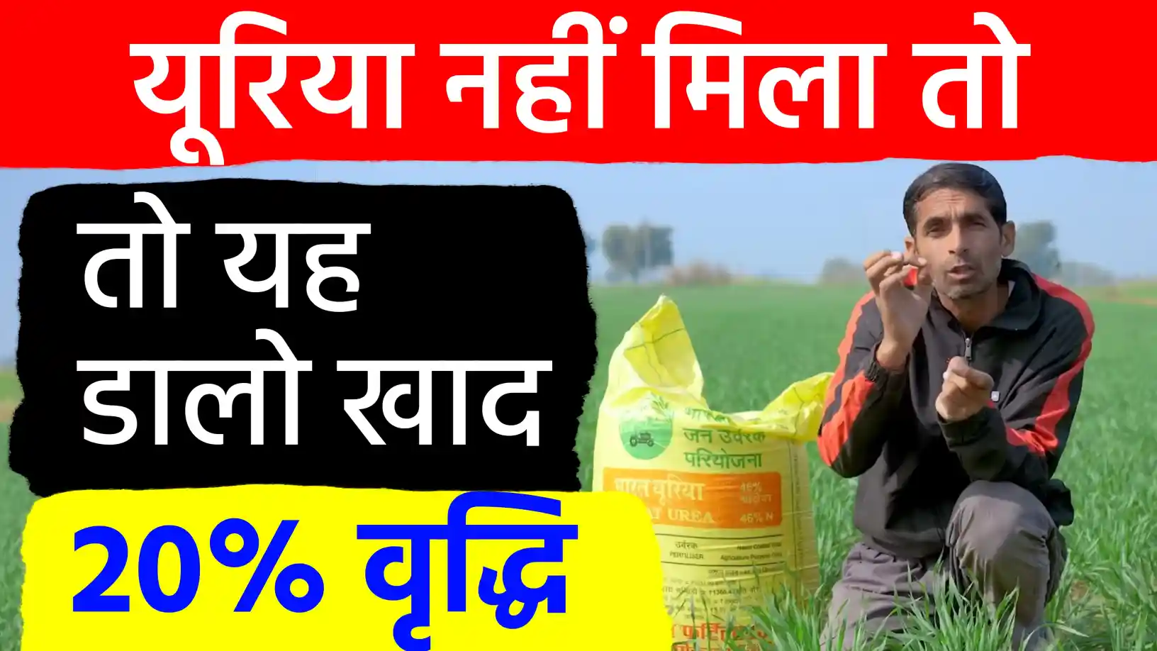 गेहूं की पैदावार में 20 प्रतिशत