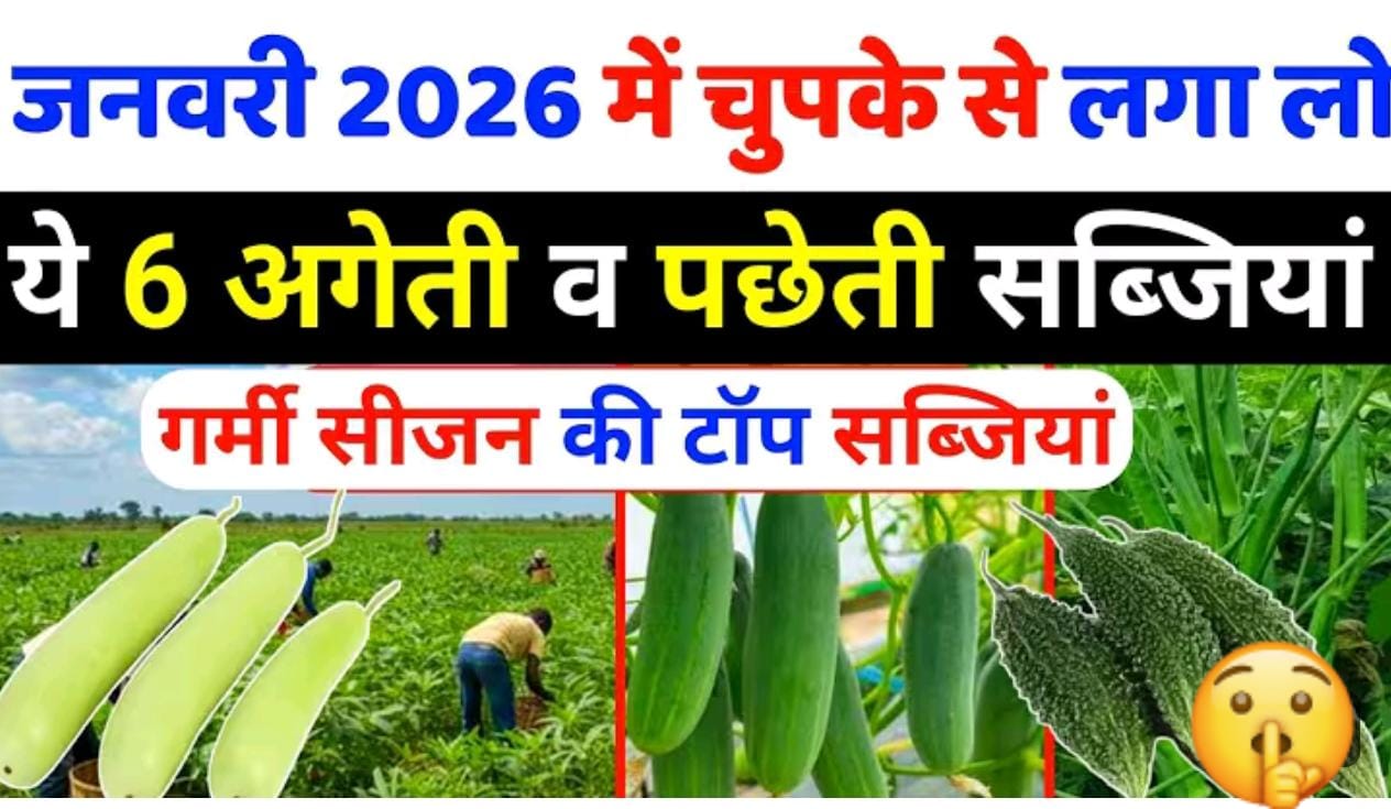 लगायें ये सब्जीया, बिकेगी